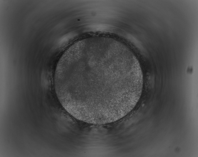 X0000101170918200807181420