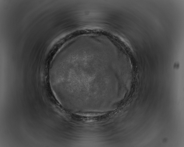 X0000101170920200807181420