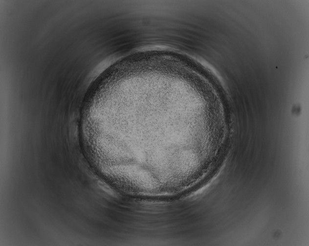 X0000101170921200807181420
