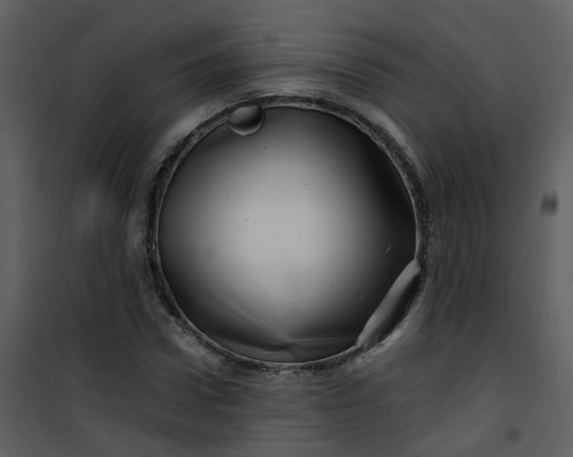 X0000101170922200807181420