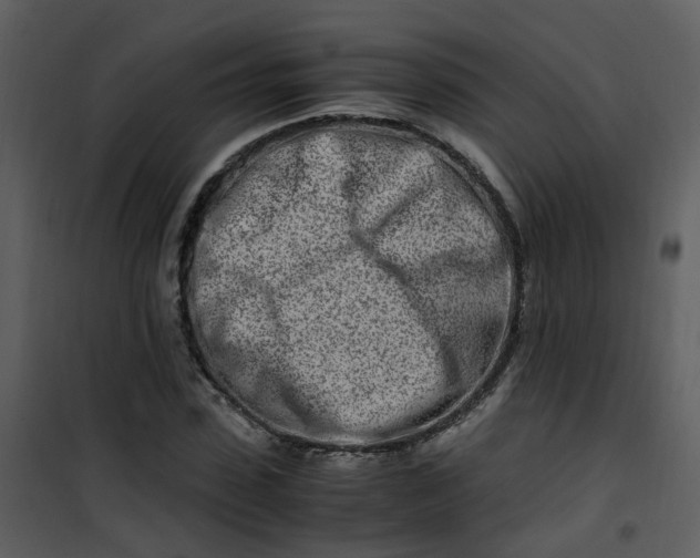 X0000101170923200807181420