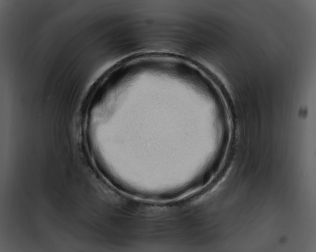 X0000101170925200807181420