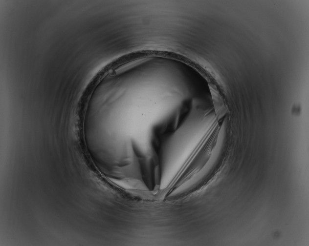 X0000101170926200807181420