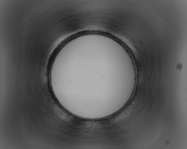 X0000101170927200807181420