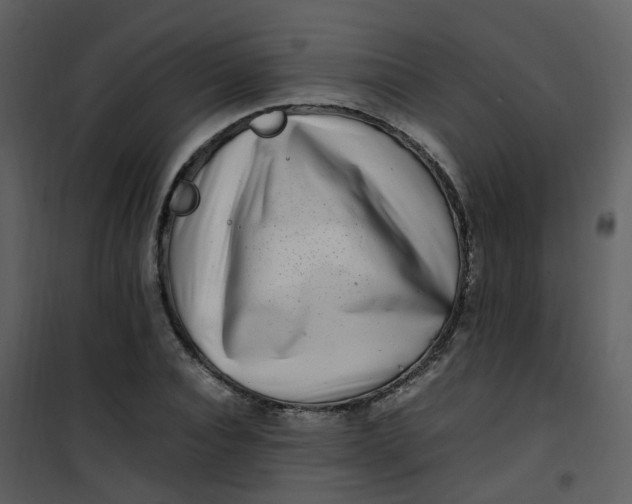 X0000101170928200807181420