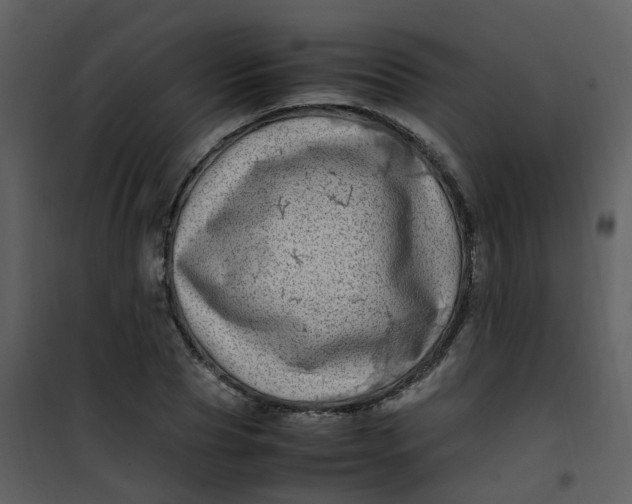 X0000101170929200807181420