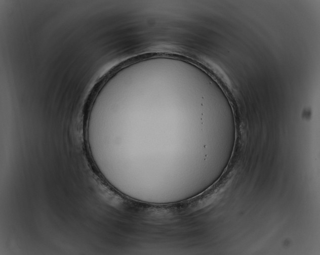 X0000101170931200807181420