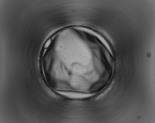 X0000101170932200807181420