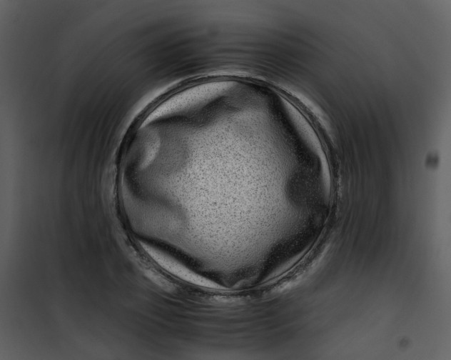 X0000101170933200807181420