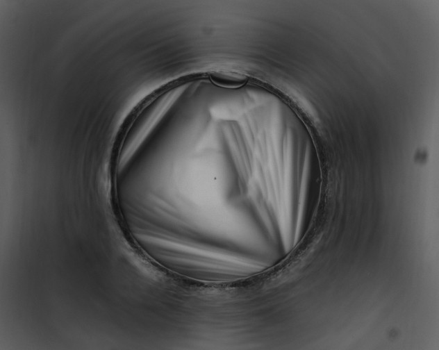 X0000101170936200807181420