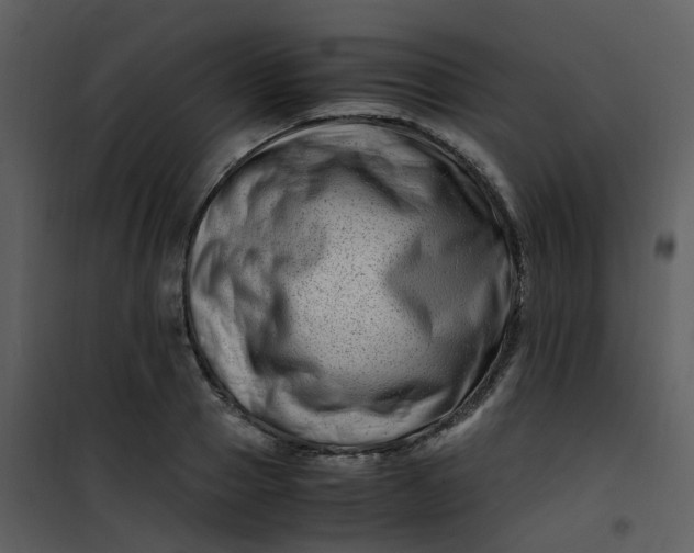 X0000101170937200807181420