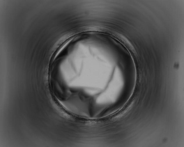 X0000101170938200807181420