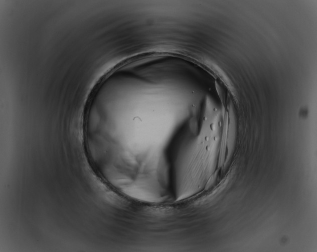 X0000101170939200807181420