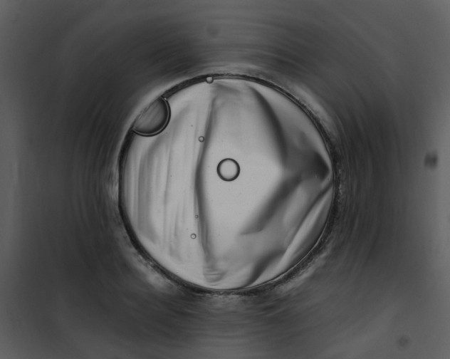 X0000101170940200807181420