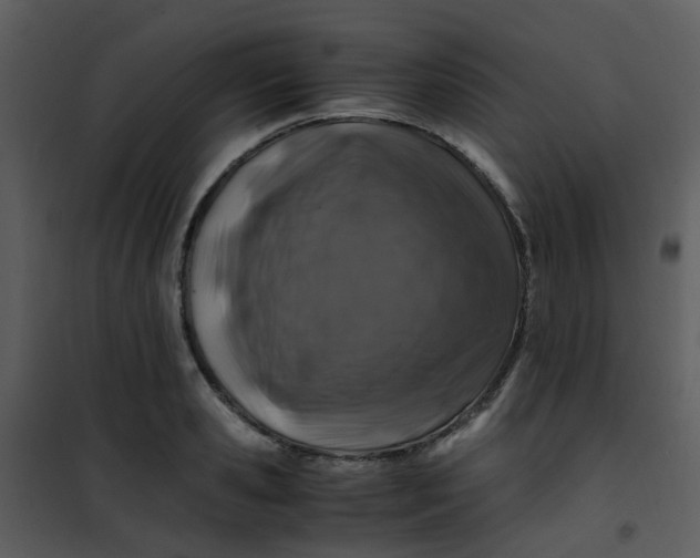 X0000101170941200807181420