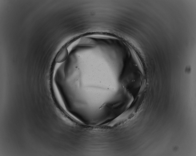 X0000101170942200807181420