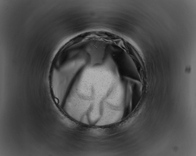 X0000101170943200807181420