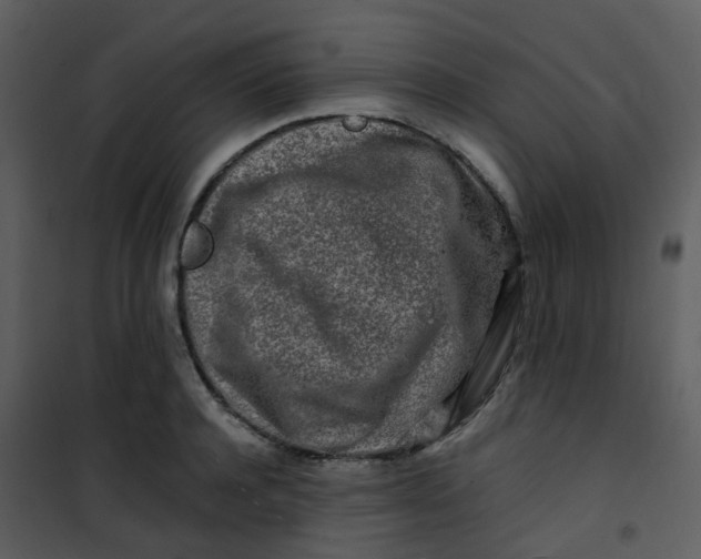 X0000101170944200807181420