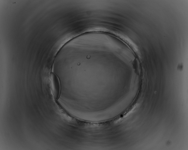 X0000101170945200807181420