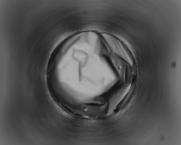 X0000101170949200807181420
