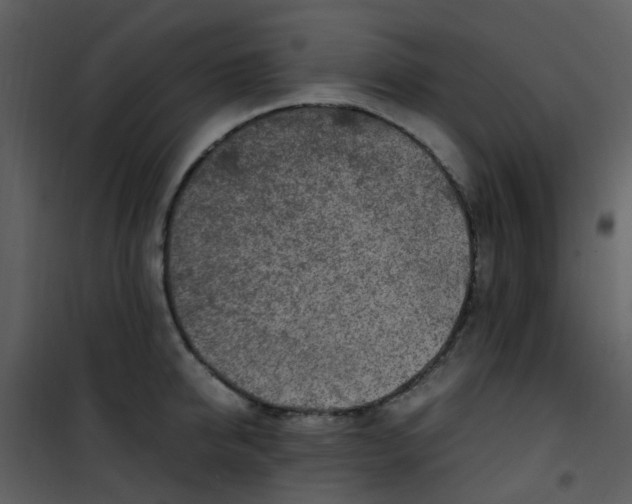 X0000101170950200807181420