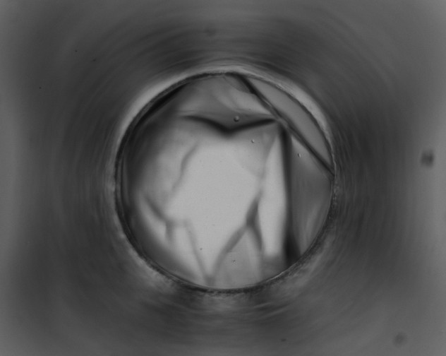 X0000101170951200807181420