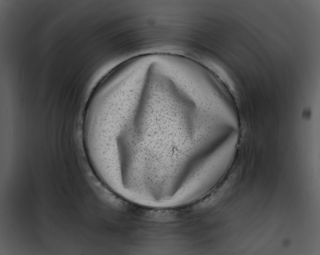 X0000101170952200807181420