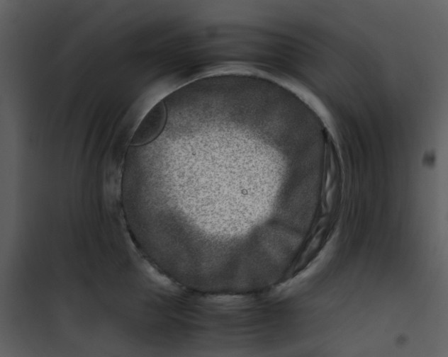 X0000101170953200807181420