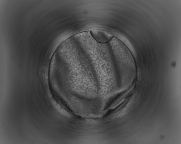 X0000101170954200807181420