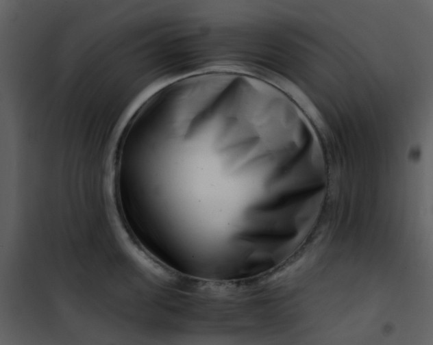 X0000101170955200807181420