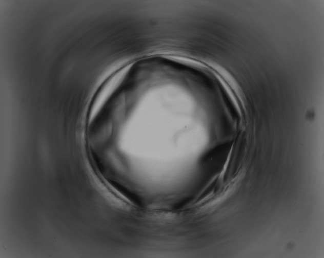X0000101170957200807181420