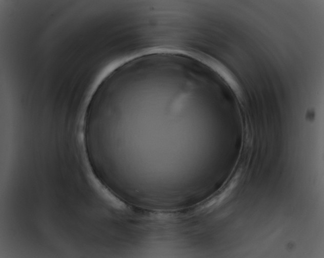 X0000101170958200807181420