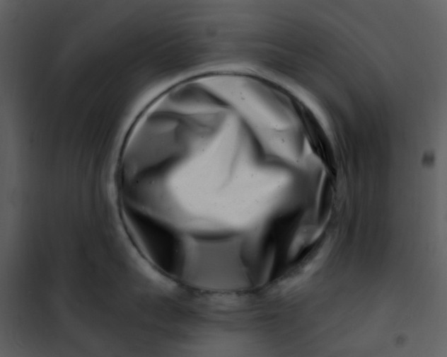 X0000101170959200807181420
