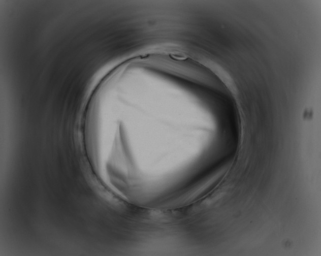 X0000101170960200807181420