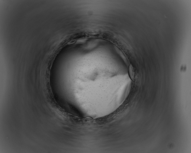 X0000101170961200807181420