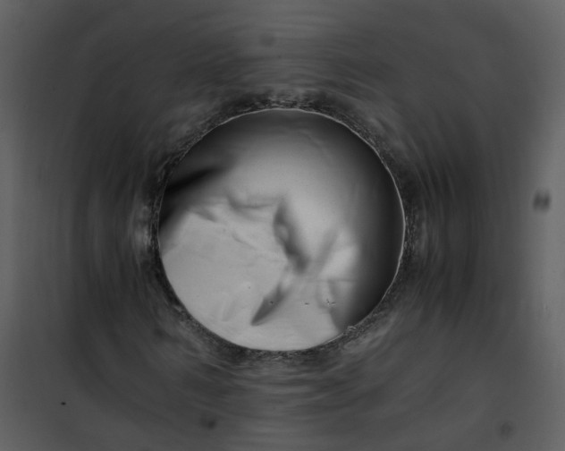 X0000101170962200807181420
