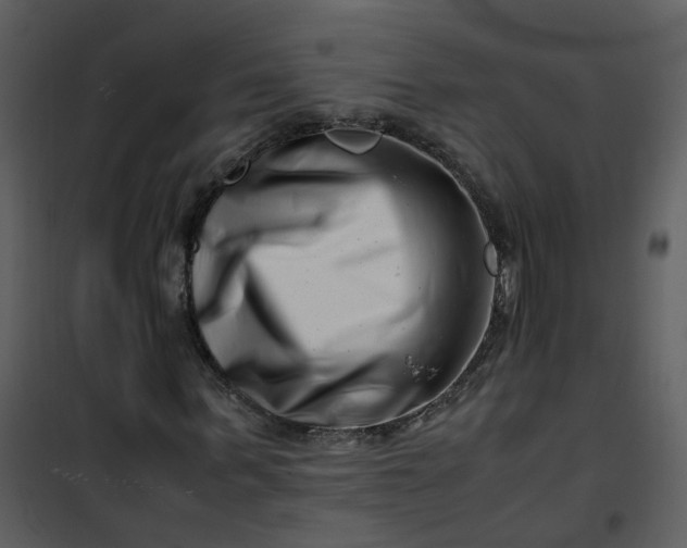 X0000101170963200807181420