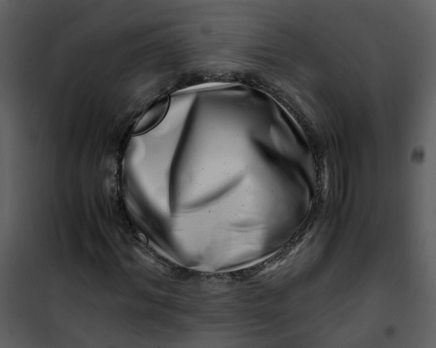 X0000101170964200807181419