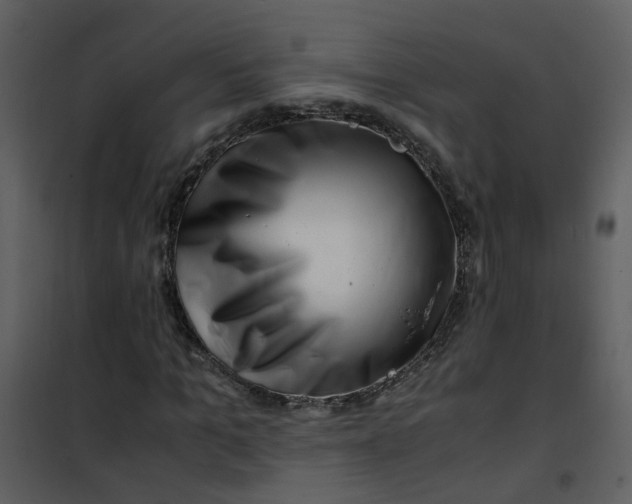 X0000101170965200807181419