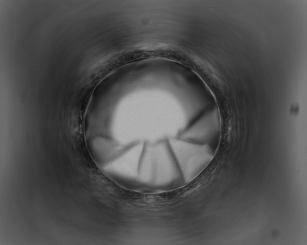 X0000101170966200807181419