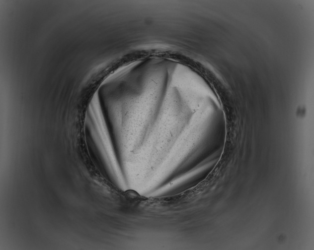 X0000101170967200807181419