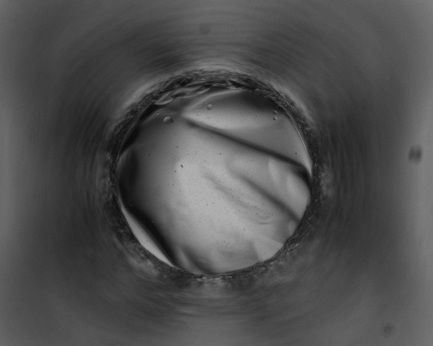 X0000101170968200807181419