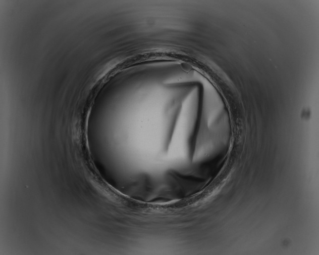 X0000101170969200807181419