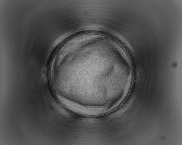 X0000101170970200807181419