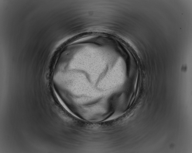 X0000101170971200807181419