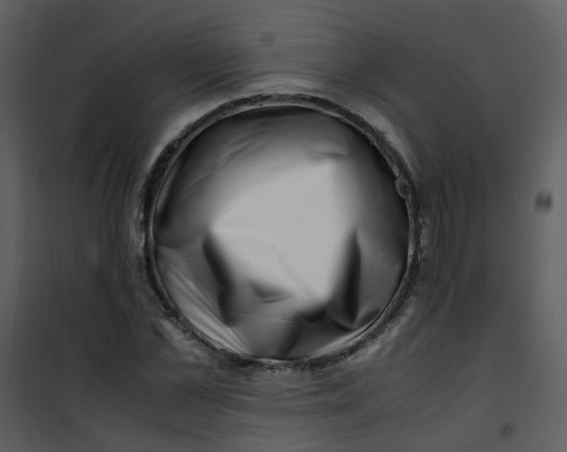 X0000101170973200807181419