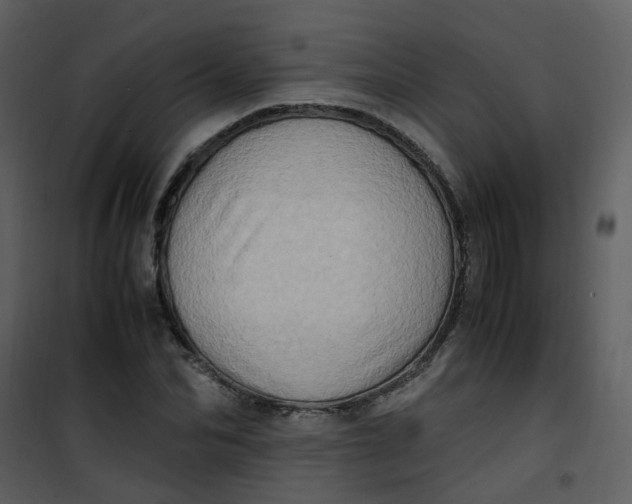 X0000101170974200807181419