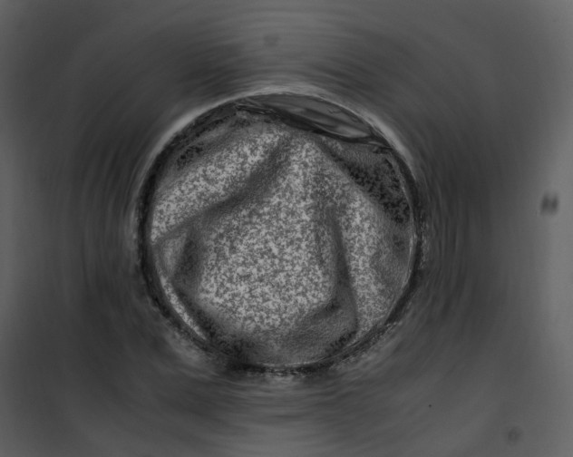 X0000101170975200807181419