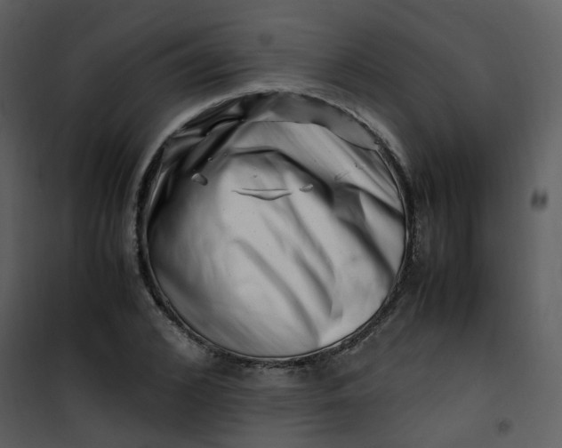 X0000101170976200807181419