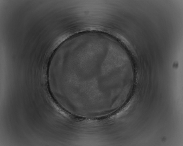 X0000101170977200807181419